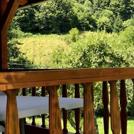 Family Oasis *