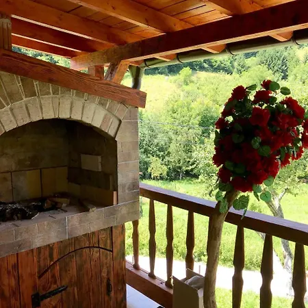 Family Oasis * Pazaric